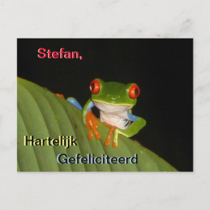 Red Eyed Gaudí Night Frog Birthday Postcard