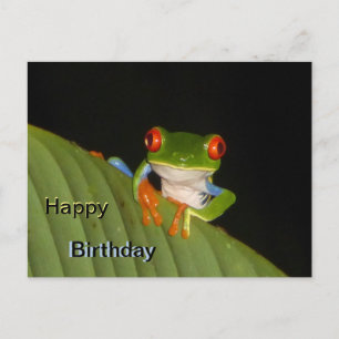Red Eyed Gaudy Frog Happy Birthday Postcard