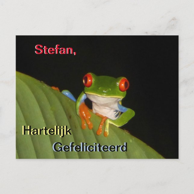 Red Eyed Gaudy Night Frog Birthday Postcard (Front)