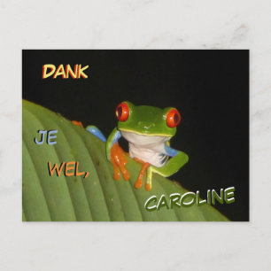 Red Eyed Gaudy Night Frog Thank You Postcard