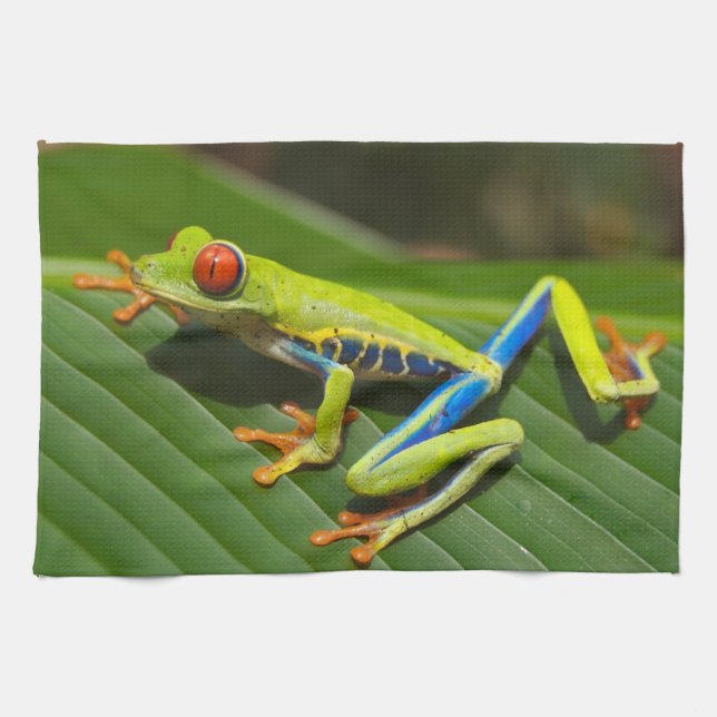 Red Eyed Green Tree Frog Kitchen Towel (Horizontal)