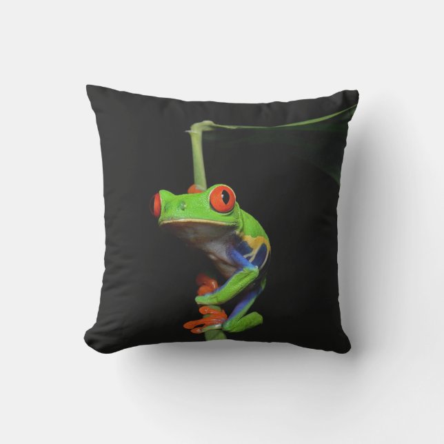 Red Eyed Painted Frog Outdoor Pillow (Front)