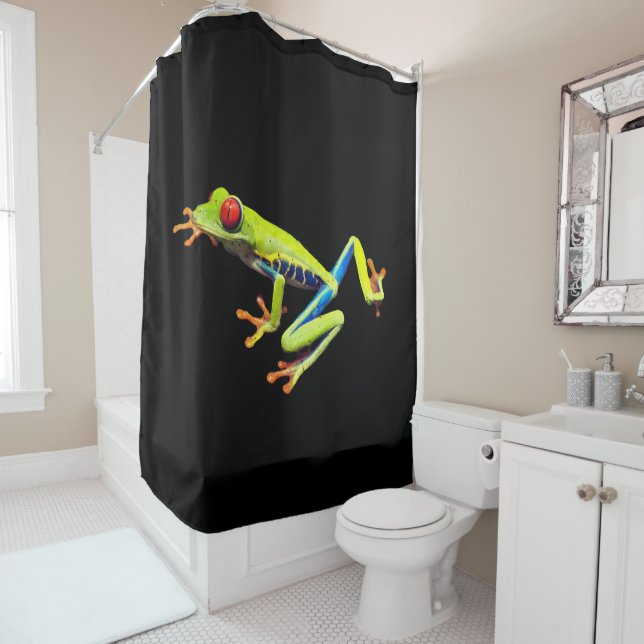 Red Eyed Painted Tree Frog  (In Situ)