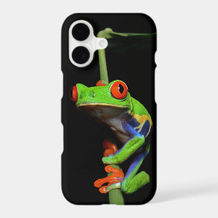 Red Eyed Painted Tree Frog