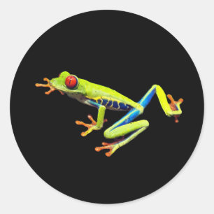 Red Eyed Painted Tree Frog Classic Round Sticker