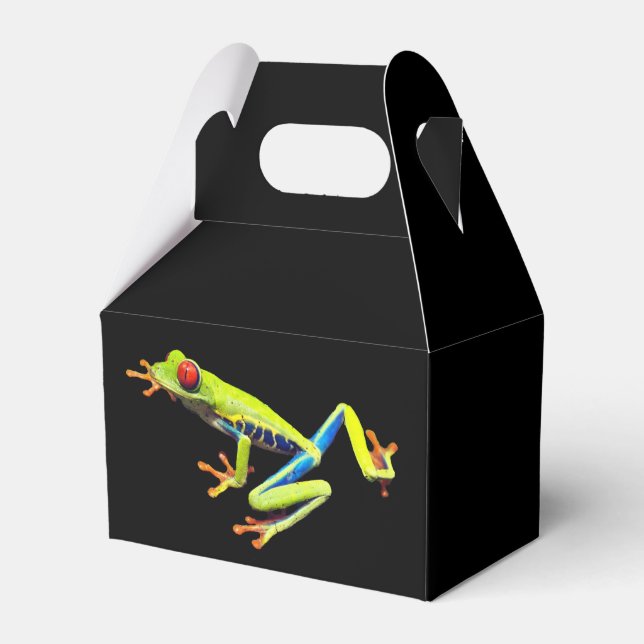 Red Eyed Painted Tree Frog  Favor Box (Front Side)