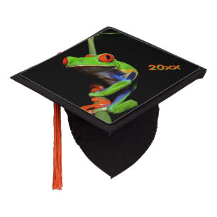 Red Eyed Painted Tree Frog Graduation Cap Topper