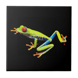 Red Eyed Painted Tree Frog Tile