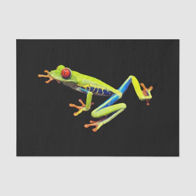 Red Eyed Painted Tree Frog  Tissue Paper (Front)