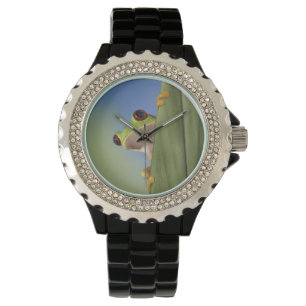 Red Eyed Tre Frog Peeking From Behind a Leaf Watch
