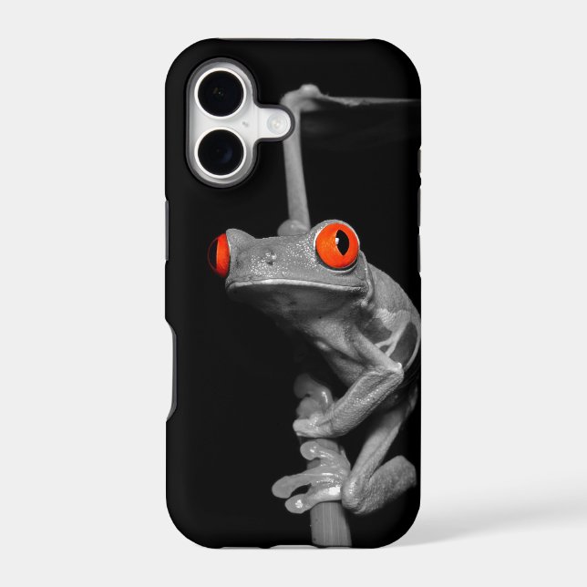 Red Eyed Tree Frog (Back)