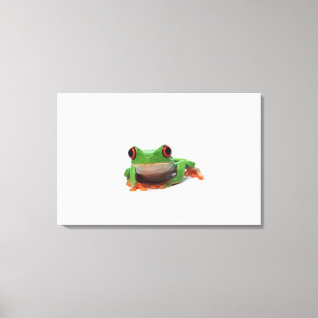 Red eyed tree frog 2 canvas print (Front)