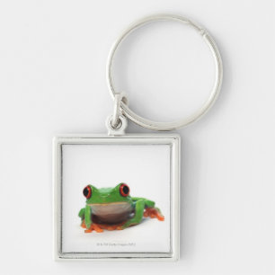 Red eyed tree frog 2 keychain