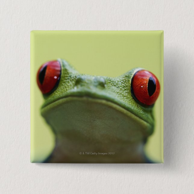 Red-eyed tree frog (Agalychnis callidryas) 2 Inch Square Button (Front)