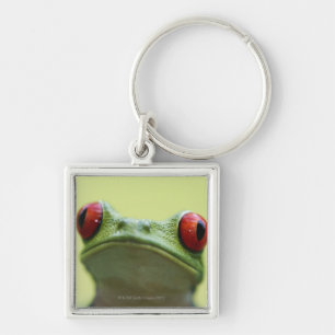 Red-eyed tree frog (Agalychnis callidryas) 2 Keychain