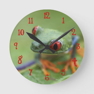 Red-eyed tree frog (Agalychnis callidryas) Round Clock