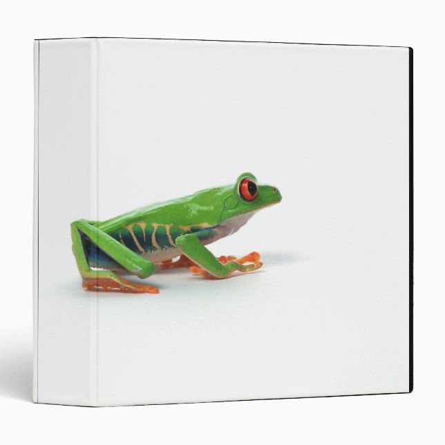 Red eyed tree frog binder (Front/Spine)