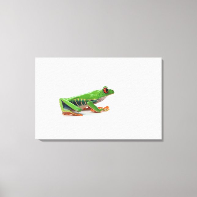 Red eyed tree frog canvas print (Front)