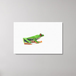 Red eyed tree frog canvas print