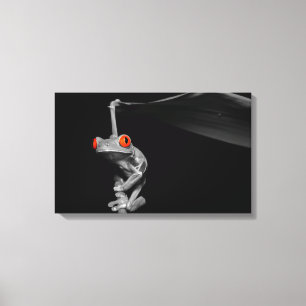 Red Eyed Tree Frog Canvas Print