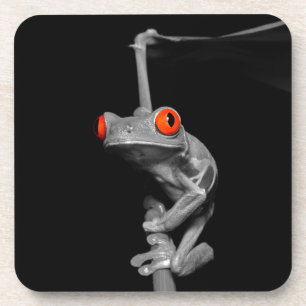 Red Eyed Tree Frog Coaster