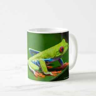 Red eyed tree frog coffee mug