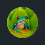 Red-eyed tree frog, Costa Rica 2 Inch Round Button<br><div class="desc">Red-eyed tree frog (Agalychnis callidryas),  Costa Rica</div>