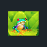 Red-eyed tree frog, Costa Rica Canvas Print<br><div class="desc">Red-eyed tree frog (Agalychnis callidryas),  Costa Rica</div>