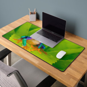 Red-eyed tree frog, Costa Rica Desk Mat