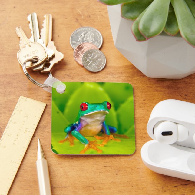 Red-eyed tree frog, Costa Rica Keychain (Desk)