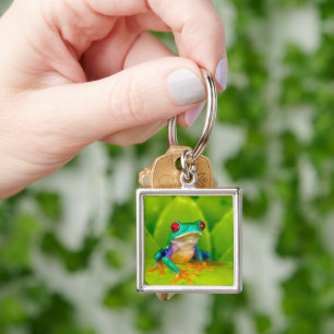 Red-eyed tree frog, Costa Rica Keychain