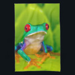 Red-eyed tree frog, Costa Rica Kitchen Towel<br><div class="desc">Red-eyed tree frog (Agalychnis callidryas),  Costa Rica</div>
