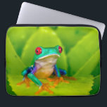 Red-eyed tree frog, Costa Rica Laptop Sleeve<br><div class="desc">Red-eyed tree frog (Agalychnis callidryas), Costa Rica</div>