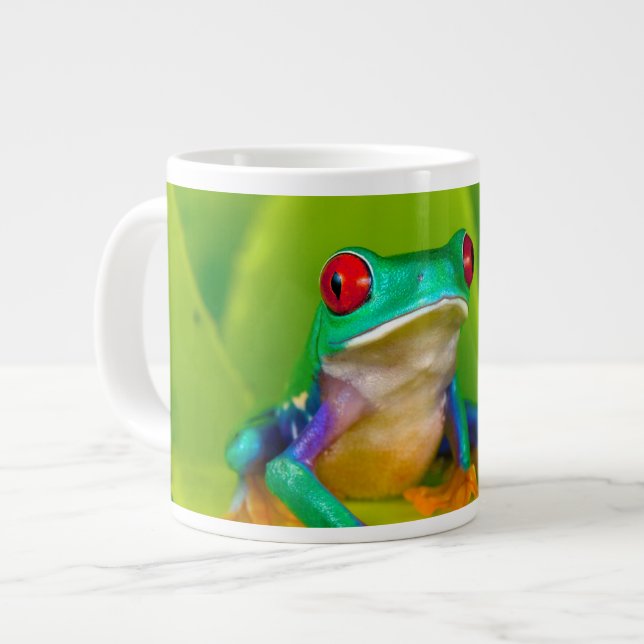 Red-eyed tree frog, Costa Rica Large Coffee Mug (Front Left)