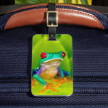 Red-eyed tree frog, Costa Rica Luggage Tag<br><div class="desc">Red-eyed tree frog (Agalychnis callidryas),  Costa Rica</div>