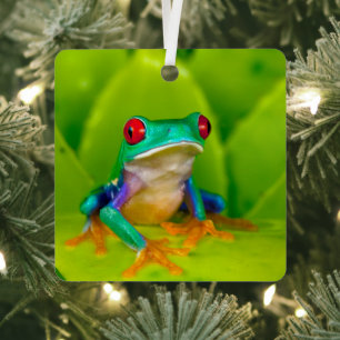 Red-eyed tree frog, Costa Rica Metal Ornament