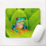 Red-eyed tree frog, Costa Rica Mouse Pad<br><div class="desc">Red-eyed tree frog (Agalychnis callidryas),  Costa Rica</div>