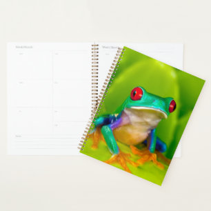 Red-eyed tree frog, Costa Rica Planner