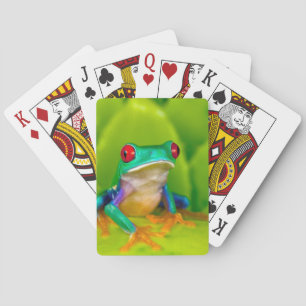Red-eyed tree frog, Costa Rica Playing Cards