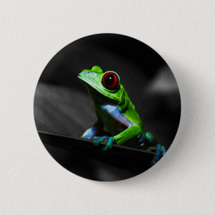 Red Eyed Tree Frog III 2 Inch Round Button