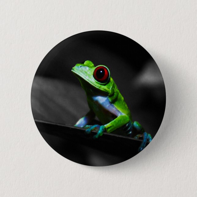 Red Eyed Tree Frog III 2 Inch Round Button (Front)