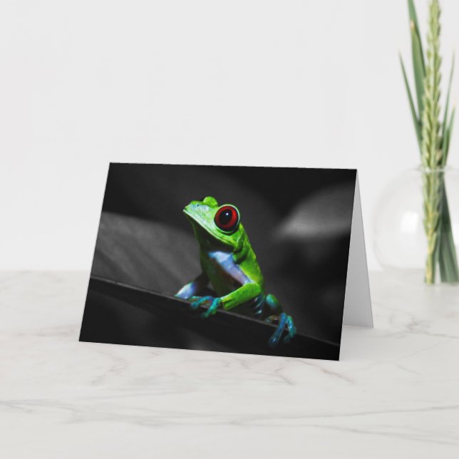 Red Eyed Tree Frog III Card (Front)