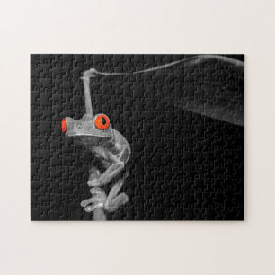 Red Eyed Tree Frog Jigsaw Puzzle