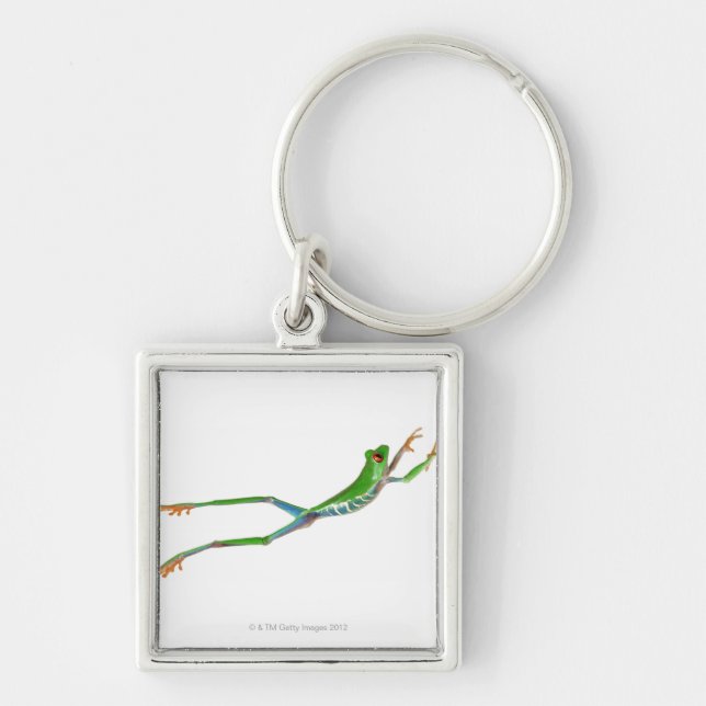 Red eyed tree frog jumping keychain (Front)