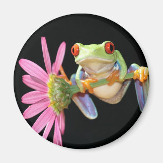 red eyed tree frog magnet