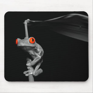 Red Eyed Tree Frog Mouse Pad