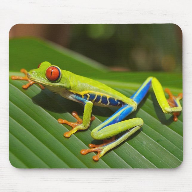 Red eyed tree frog mouse pad (Front)