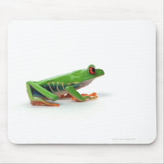 Red eyed tree frog mouse pad
