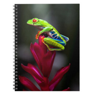 Red-eyed Tree Frog Notebook