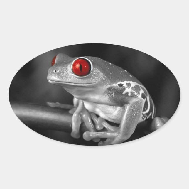 Red Eyed Tree Frog Oval Sticker (Front)